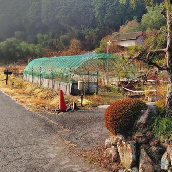 ここから登山口へ入っていきます。