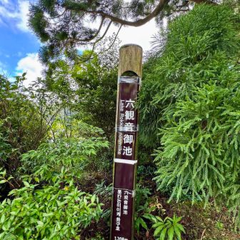 六観音御池