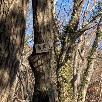 ピークを超えて