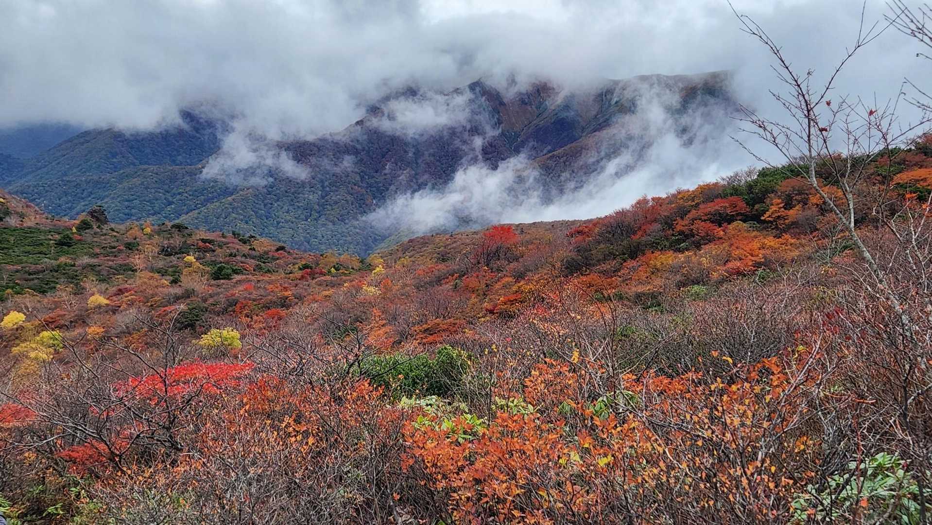 沼ッ原湿原登山口-白笹山-南月山-日の出平-姥ヶ平-日の出 縦走コースの写真