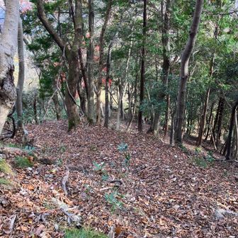 最近お金持ちになったら何しようなんてよく考えます。YouTubeプレミアムになってコマーシャルなしにしたい、成城石井のスイーツを気兼ねなく買いたい、登山用のインナーもう一枚欲しい…。考えてるととても楽しい気持ちになりますが、コレもしお金持ちになったらこれらも当たり前過ぎて何の感慨も感じなくなったりするのだろうか…。お金持ちになるというのは些細な喜びを失う事なのであれば、今のままの方が幸せなのか？幸せって何だろう。悩ましい…。
取らぬ狸の皮算用です。杞憂も甚だしい。