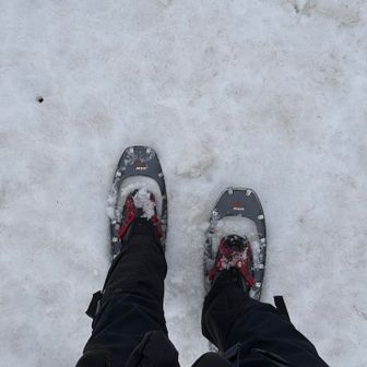 雪が緩いし、大地山からは急坂は少し落ち着くのでスノーシューを履いて進む