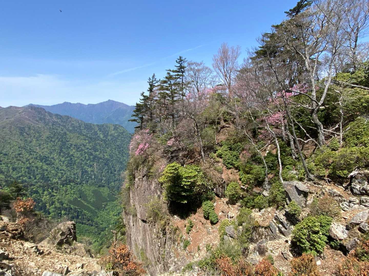 傾山-九折越 周回コースの写真