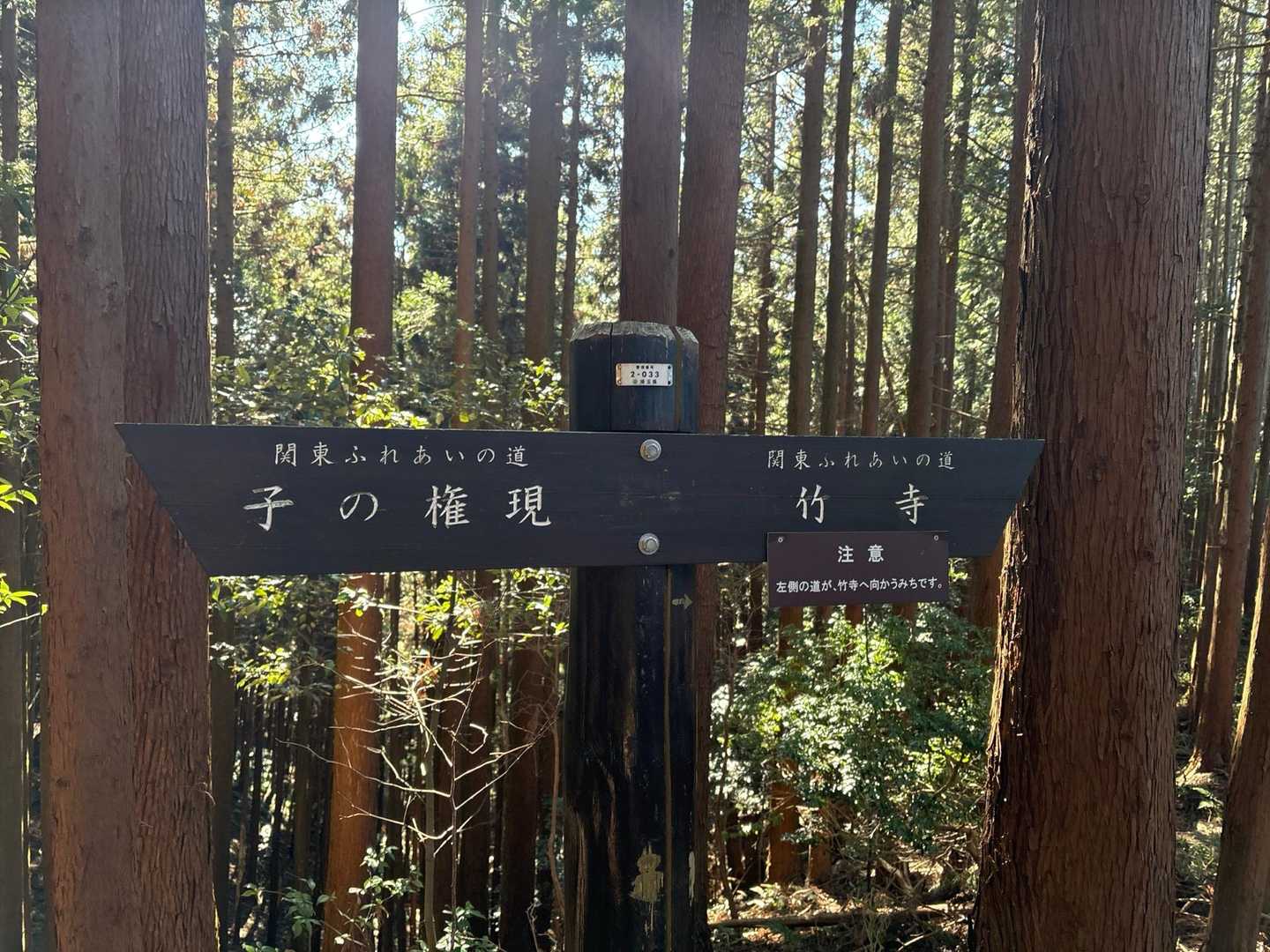 今日のお楽しみの竹寺に向かいます。
