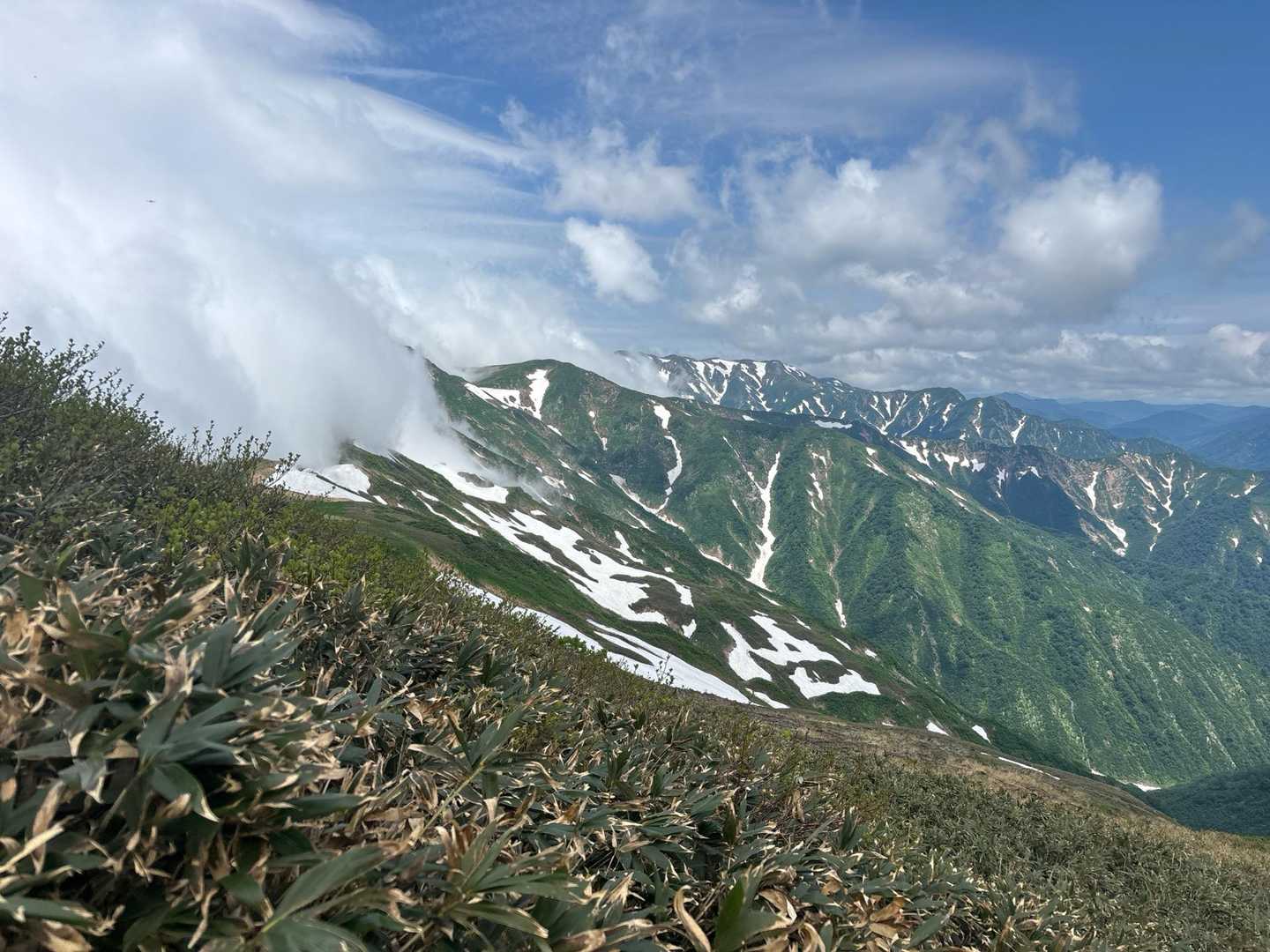 ではまた👋