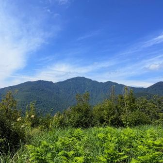 頂上からは米山ドーン‼️