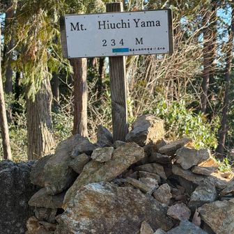 下山だっちゅうに、また、ピークあった。
ますます風は強まり、落枝がやばかった。