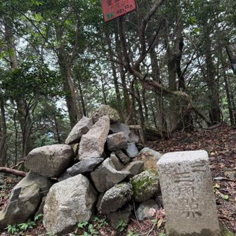 大尾山ピーク✨ 小野山もでしたが、別名があります