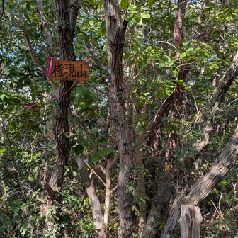 まずは権現山☺️