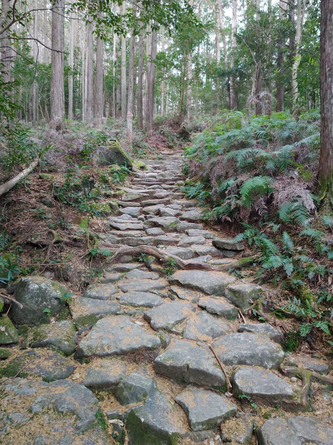 素晴らしい石畳✨