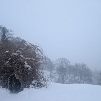 風も強いので…