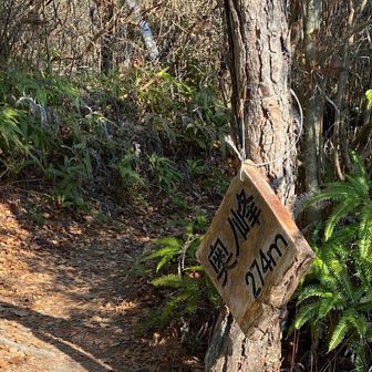 なんともし難い
可哀想な扱いである