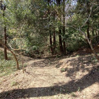 YAMAPのルートは左なんですが、右にも行けそうです。