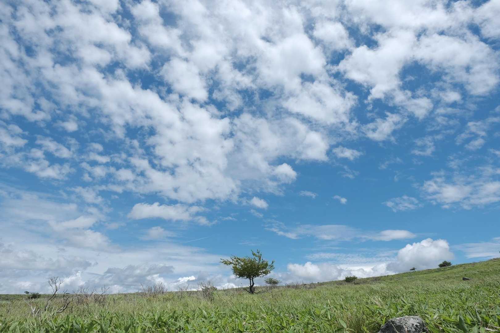 気持ちいい空、ずっと眺めてても飽きない。