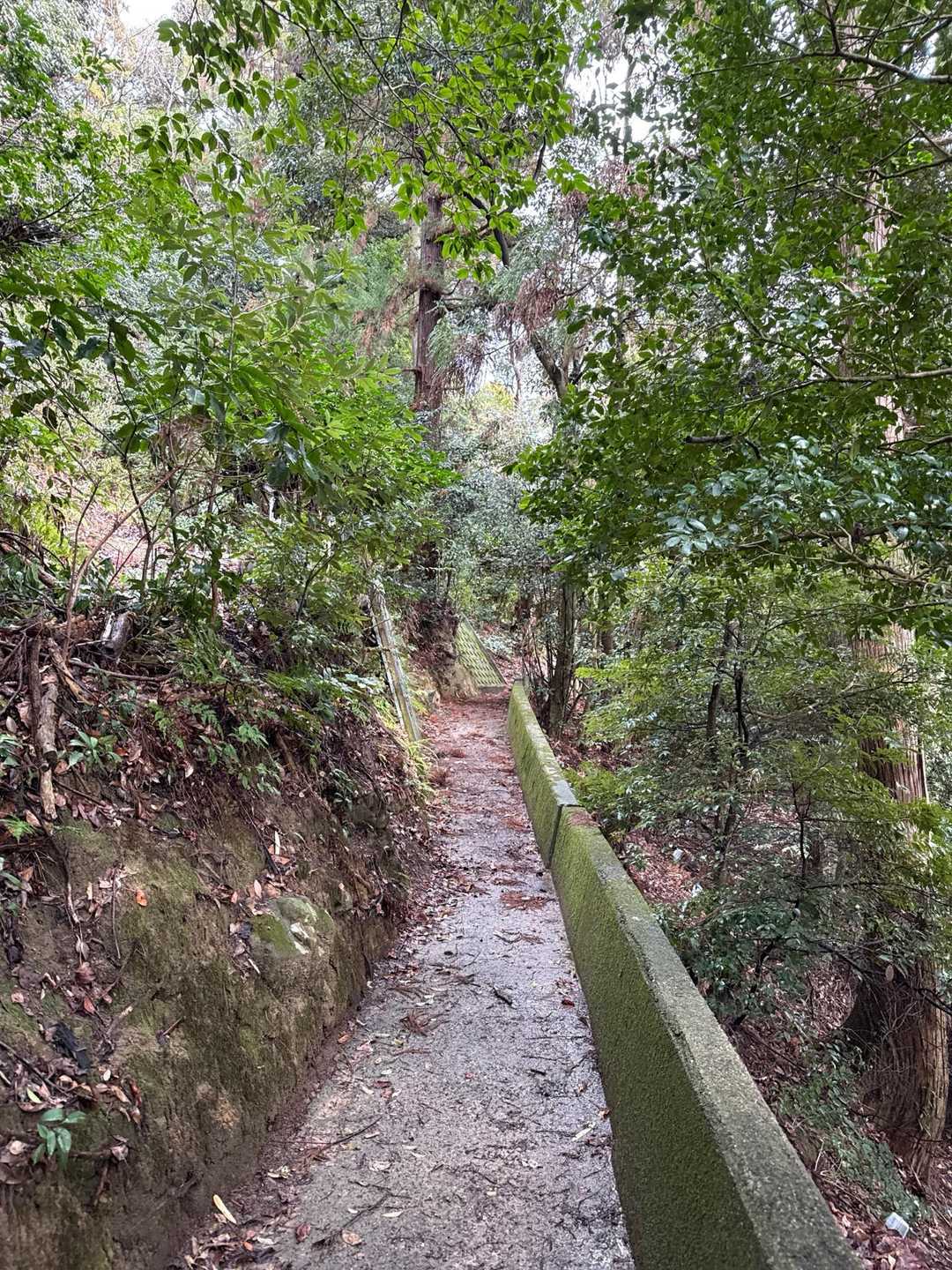 途中まではコンクリ道