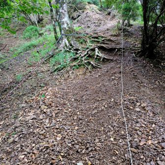 穏やか道は終わり最初の急登 足元はズルズルの小石 踏ん張ればザラザラと崩れ落ちて登りにくい