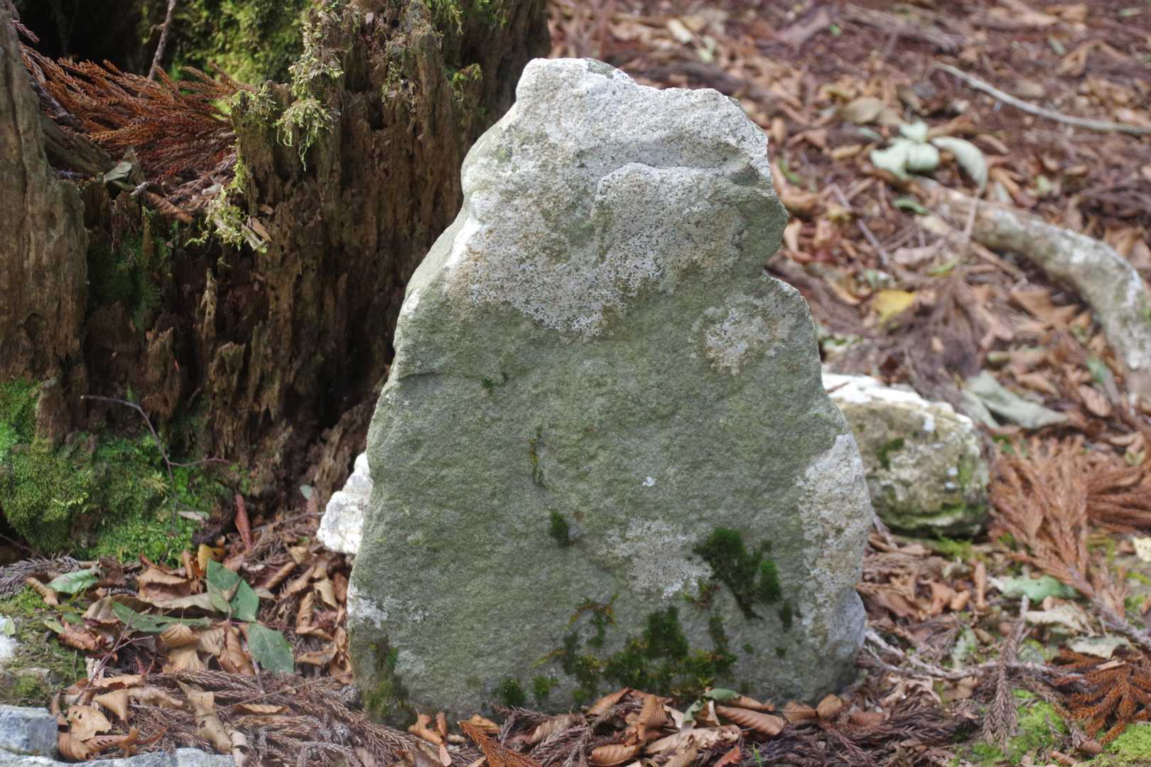 石仏さま。お懐かしゅうございます。