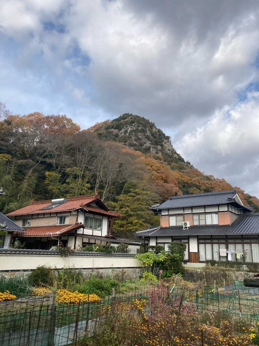 あの山に登ります。