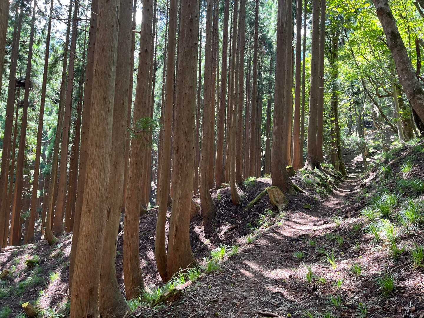 いい雰囲気が続く
はぁはぁゆーてたけど笑