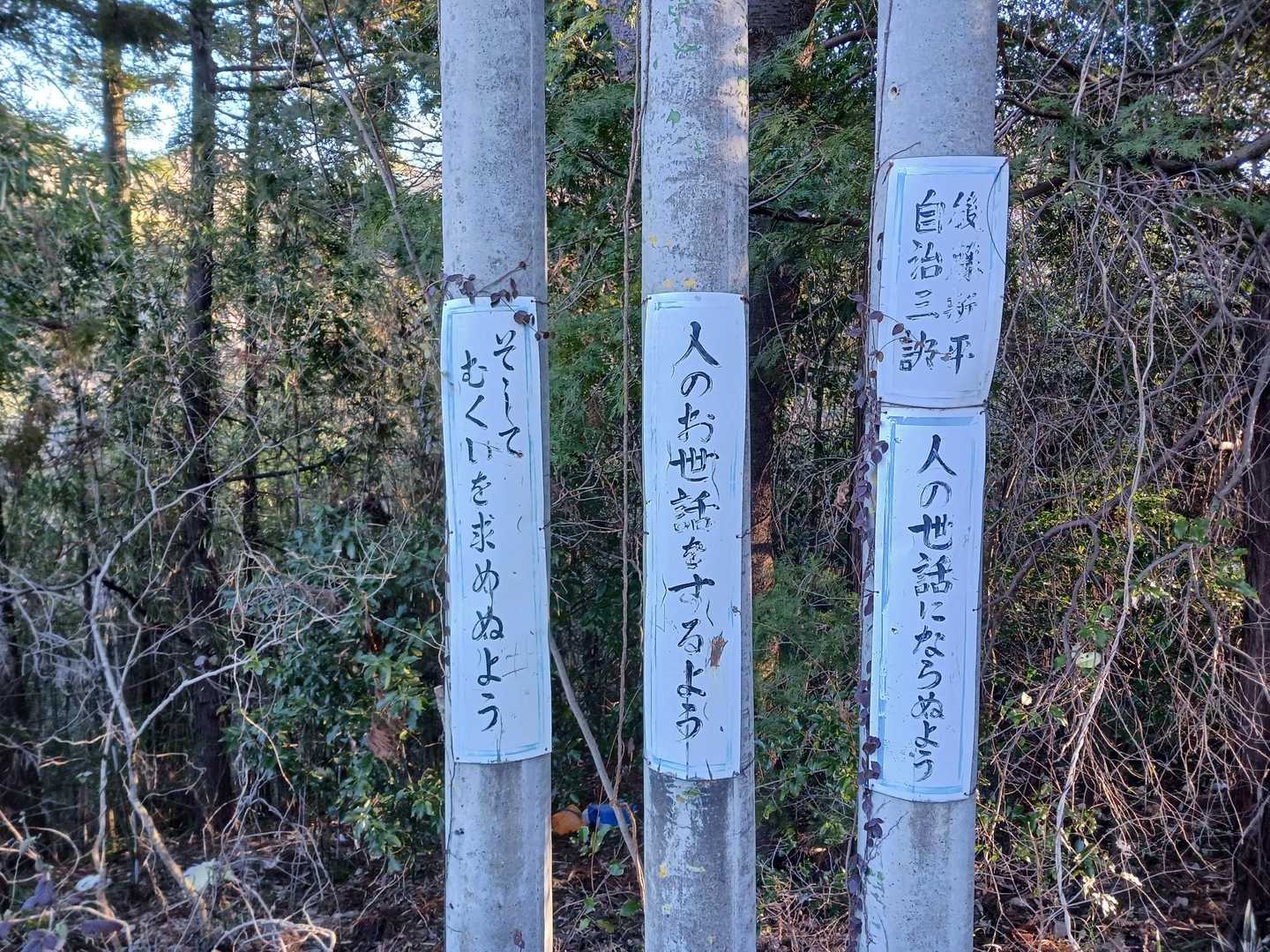 たまたま見かけた。意味深い3本柱