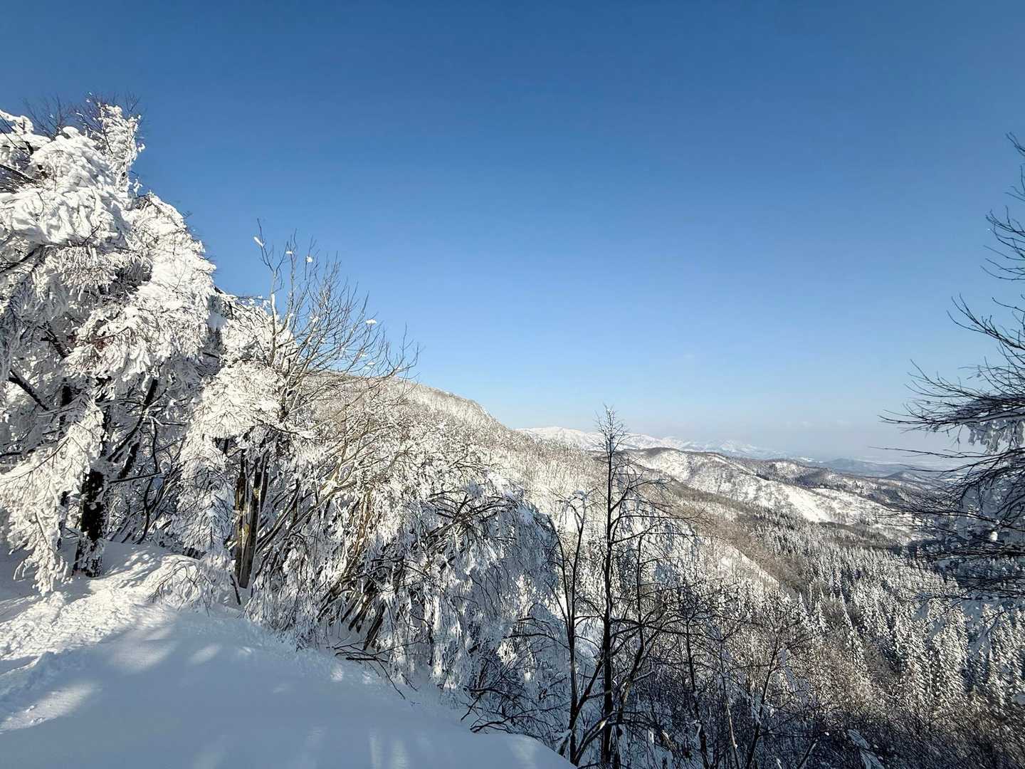 開けた
朝は雲が多めでしたが、すっかり青空に♪