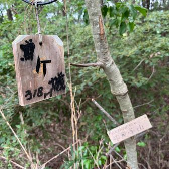 鳶ケ城　休憩しようと思っていたけど、そんな感じのところでは無かった😅
