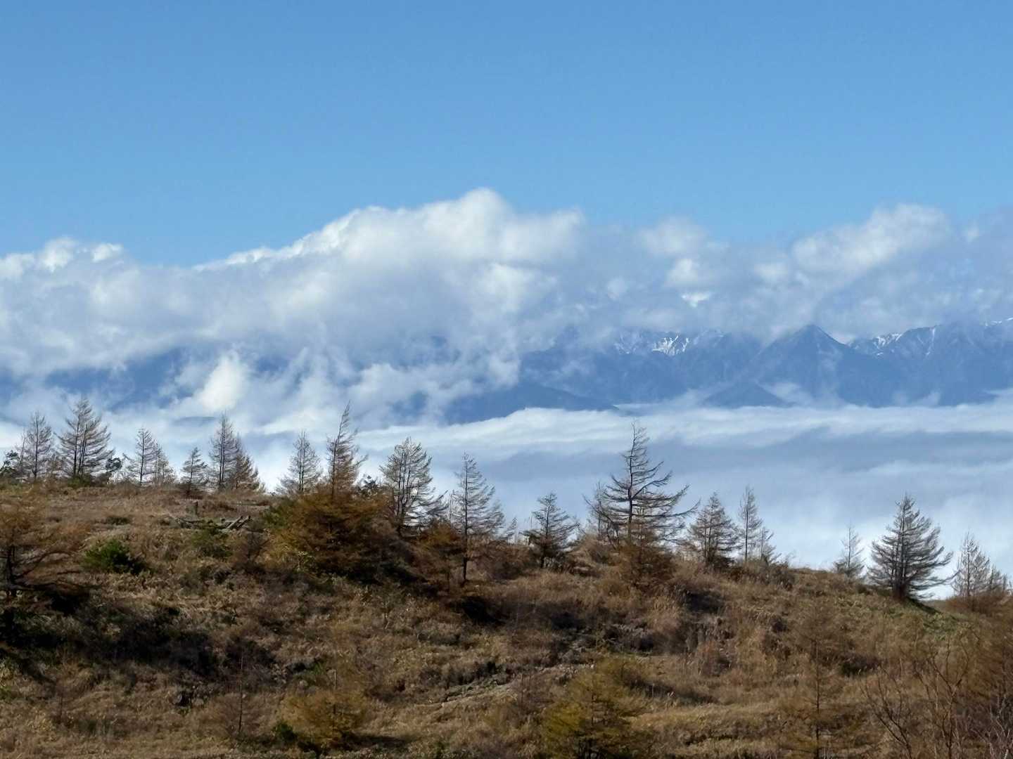 前鉢伏山へは壮大な景色を見ながら