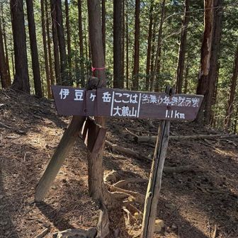 ３座目。大蔵山。