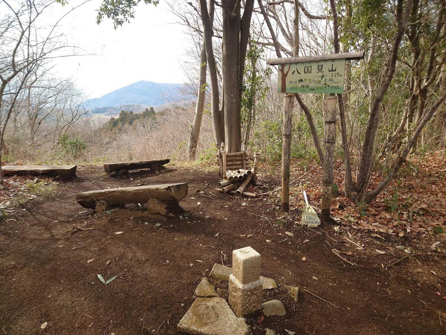 晴れていれば、富士山が見えるらしい