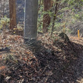 無事登山口到着