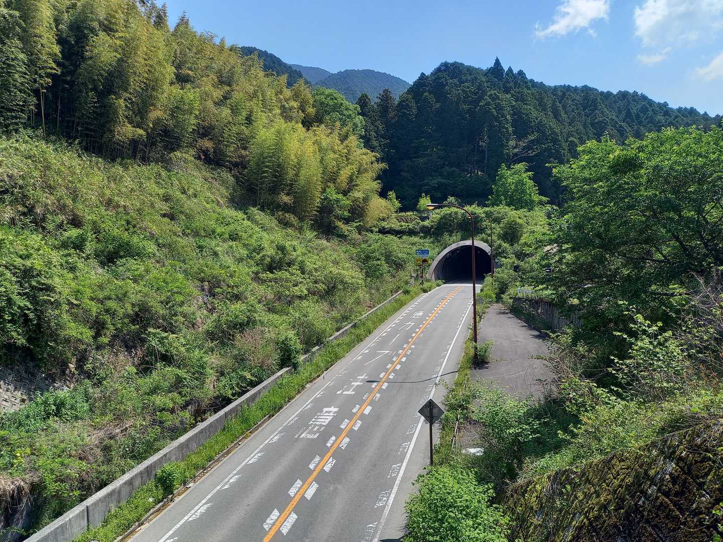 309号の上を通過。