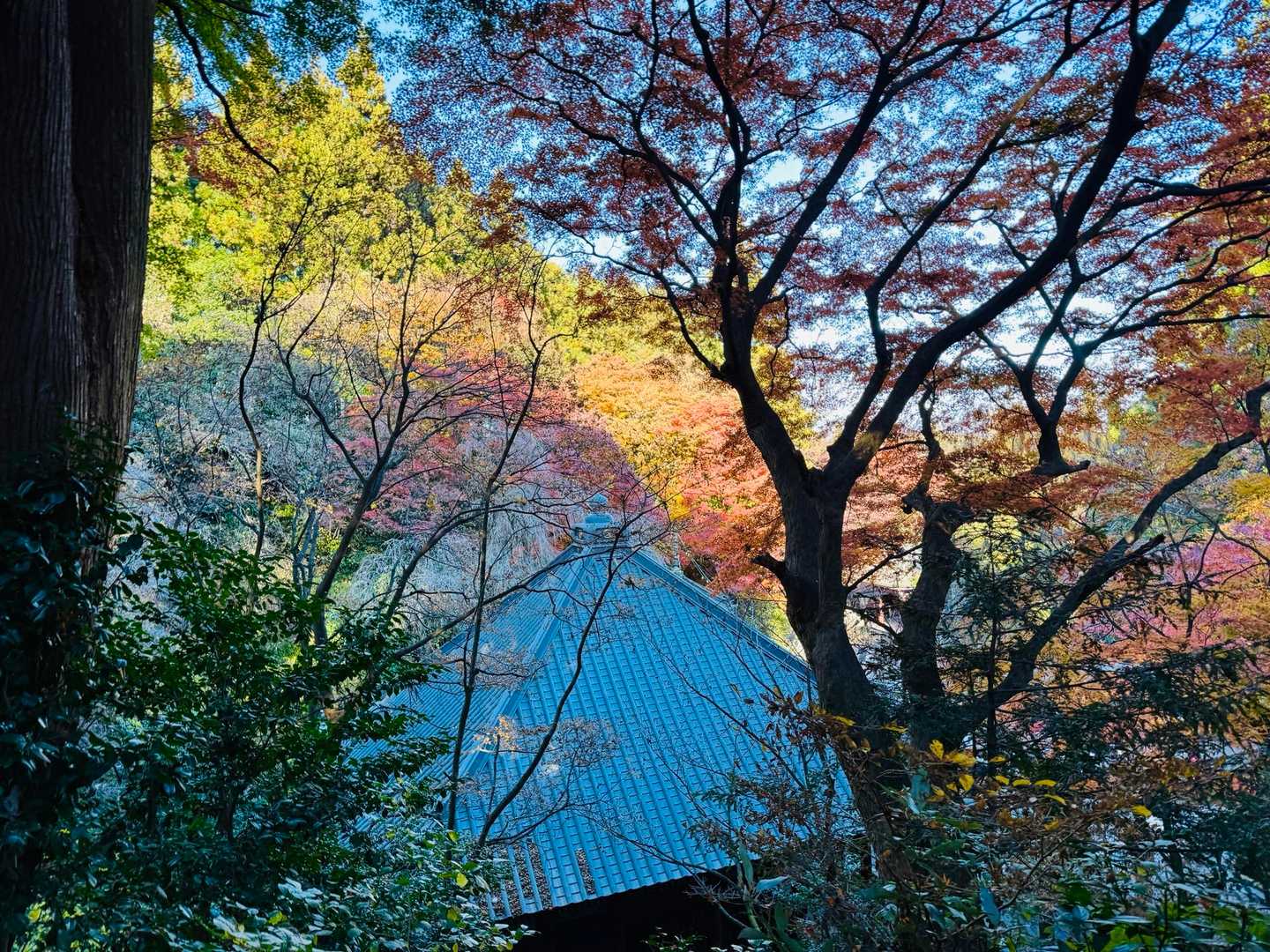登山口でmaiさんに会いました。
一緒に今回は水沢観音に下りました。
