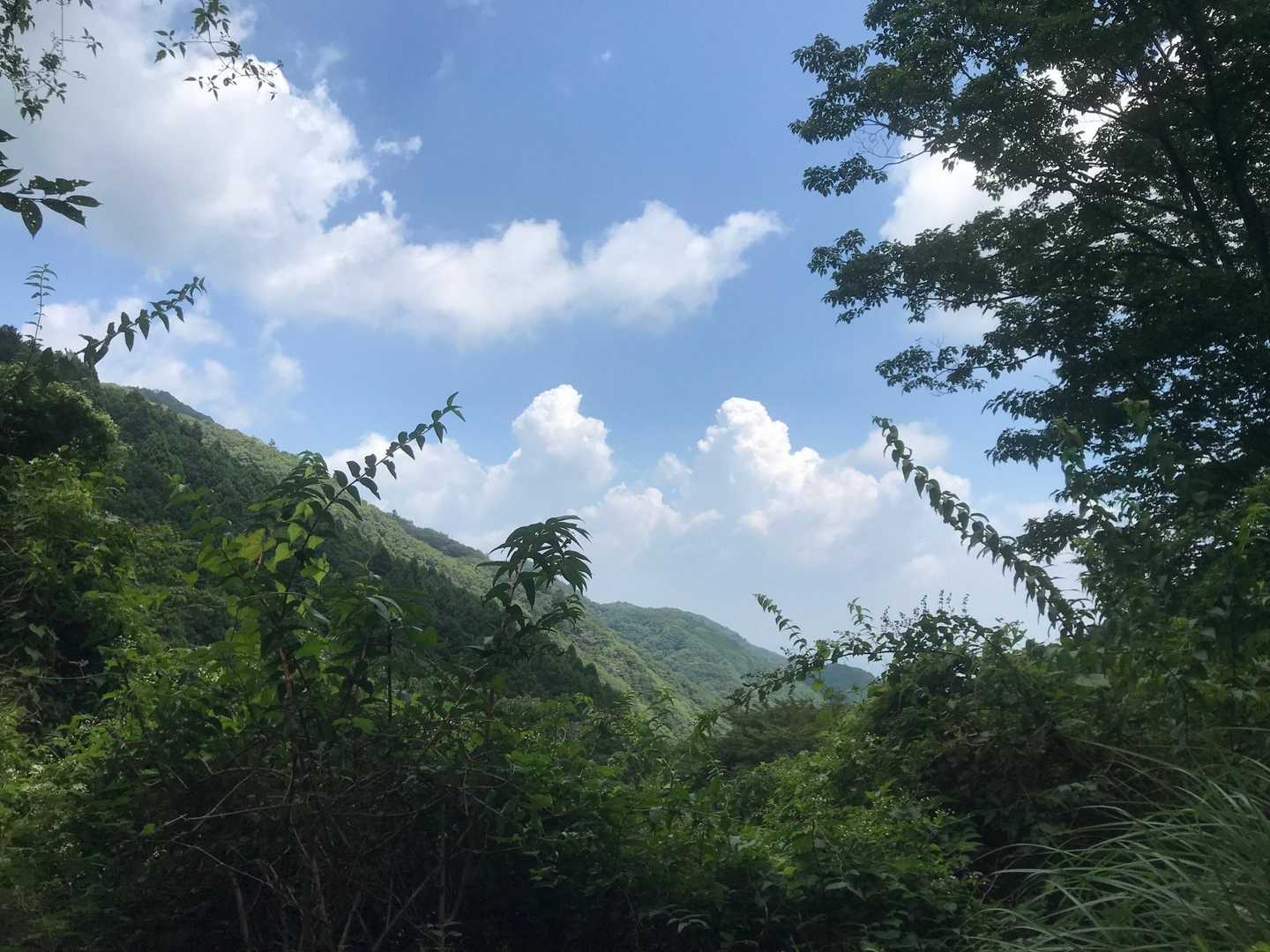 日向キャンプ場-大山 周回コースの写真