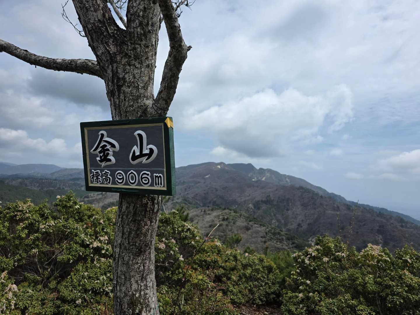 金山🚩