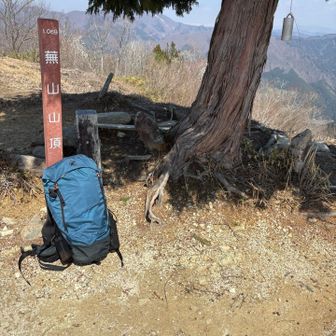 今日は風も弱く、のどかな登山日和でした。