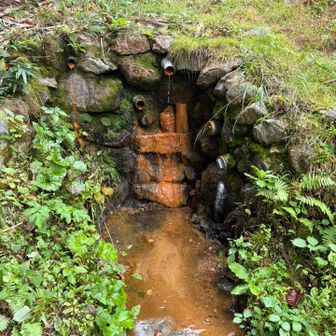 源泉の方に行ってみる
登山道に繋がってそうだ！