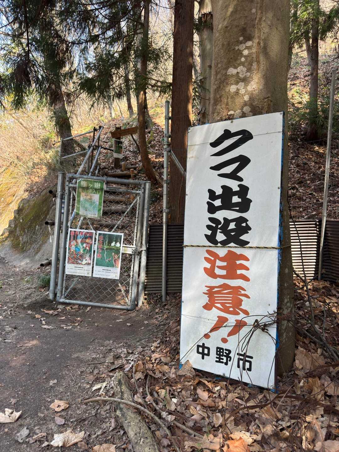 ここに来るのも久しぶり