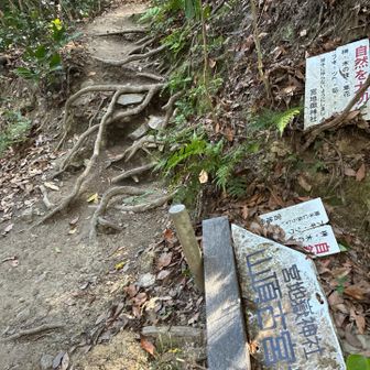 ここから山頂へ