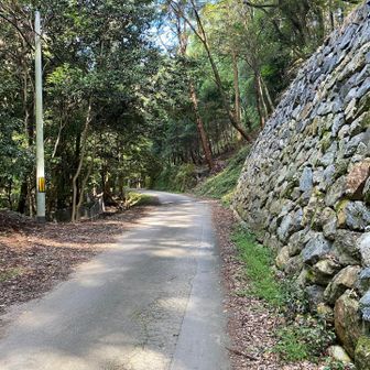 長い舗装路を経て醍醐山へ