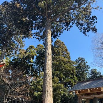 自然の力を感じる🌲❤️‍🔥