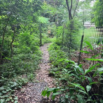 害獣が山から出まーす！