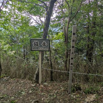 山頂の眺望はゼロ