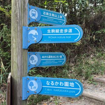 ここまで来たら生駒山