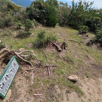 臼杵ヶ岳▲
軌跡繋ぎに来たからには、少し大袈裟に通り過ぎておきました👣