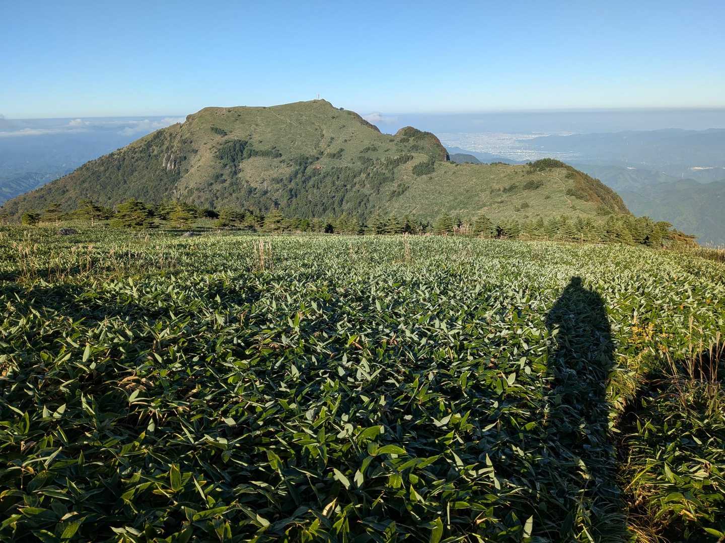 朝露が纏わりつくが気にならない絶景、松山平野がくっきり
