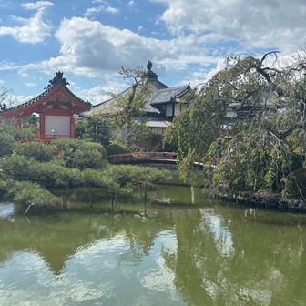 枝振りに圧倒され、吉備彦神社⛩️へ引き返す😅