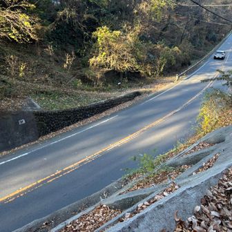 恐る恐る、アスミチを渡って