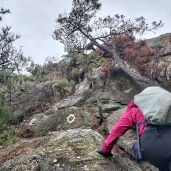 岩コースを選ぶ😁