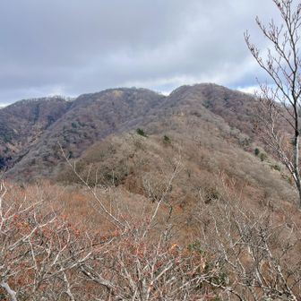 1番右がさっきまでいた親父山⛰️
夏は青々としてたのにね☺️