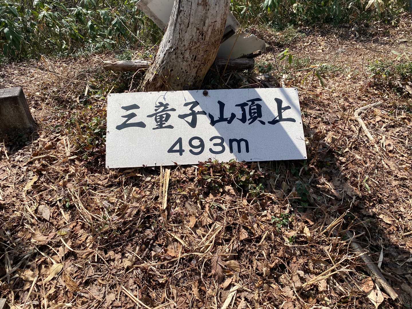 ここまで、めちゃくちゃ急登で辛かった。筋力をかなり使いました。ここでの疲労が後々効いてきます…😅